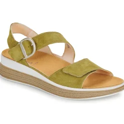 New Think - MEGGIE Vert