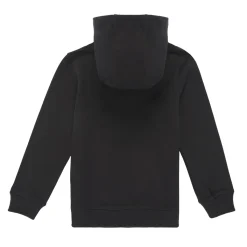 Tommy Hilfiger - ESSENTIAL HOODIE Noir Best