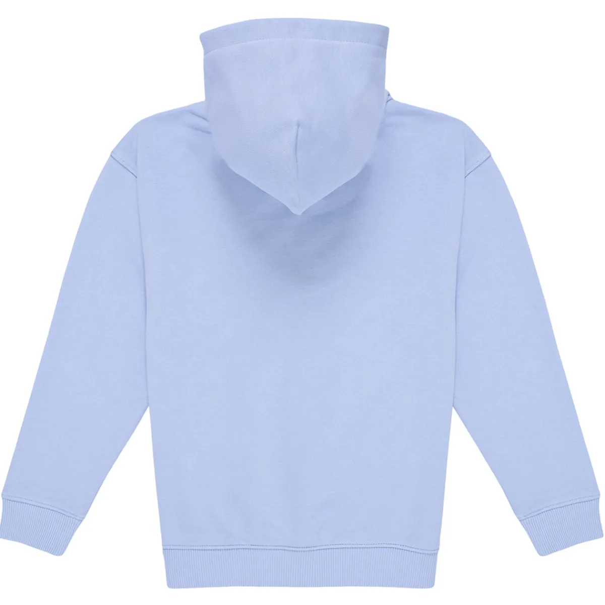 Tommy Hilfiger - U TIMELESS HOODIE