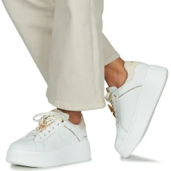 Tosca Blu - ELETTRA Discount