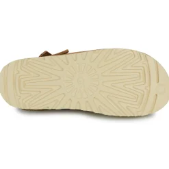 UGG - GOLDENSTAR CLOG Camel New