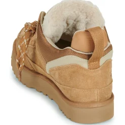 UGG - M LOWMEL Cognac Sale