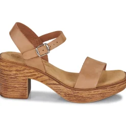 New Ulanka - MCTIDA Cognac