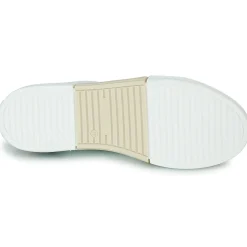 Discount Un Matin d'Eté - BRIE Bleu