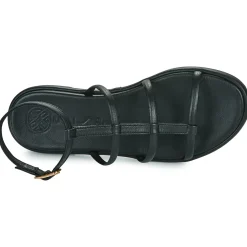 Sale Unisa - CLISA Noir