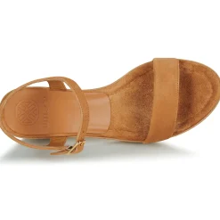 Unisa - IRITA Camel Best