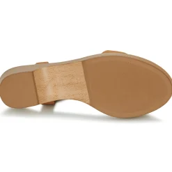 Unisa - IRITA Camel Best