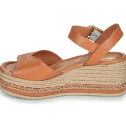 Unisa - KALTON Camel Clearance