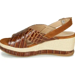 Unisa - KASTRO Camel