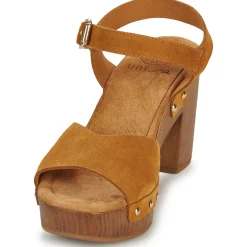 Unisa - TACO Camel Discount