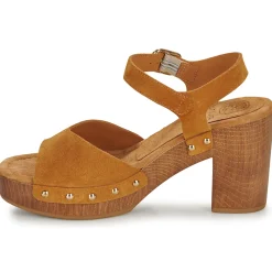 Unisa - TACO Camel Discount