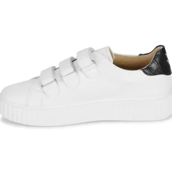 Vanessa Wu - ELSA Hot