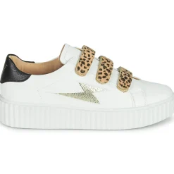 Vanessa Wu - MAGGIE Outlet