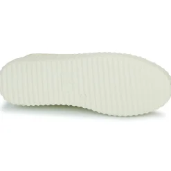 Best Vanessa Wu - SUMMER