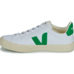 Online Veja - CAMPO CANVAS