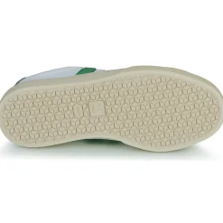 Online Veja - CAMPO CANVAS