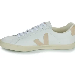 Clearance Veja - ESPLAR LOGO