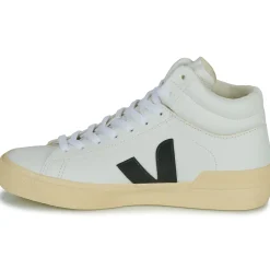 Veja - MINOTAUR Discount
