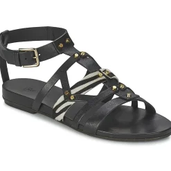 Vic - GINKO ACHANTUS