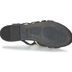 Vic - GINKO ACHANTUS