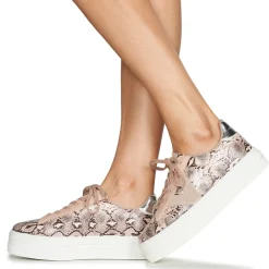 Hot Victoria - 1092143NUDE Rose