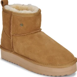 Warmbat - WALLABY Marron