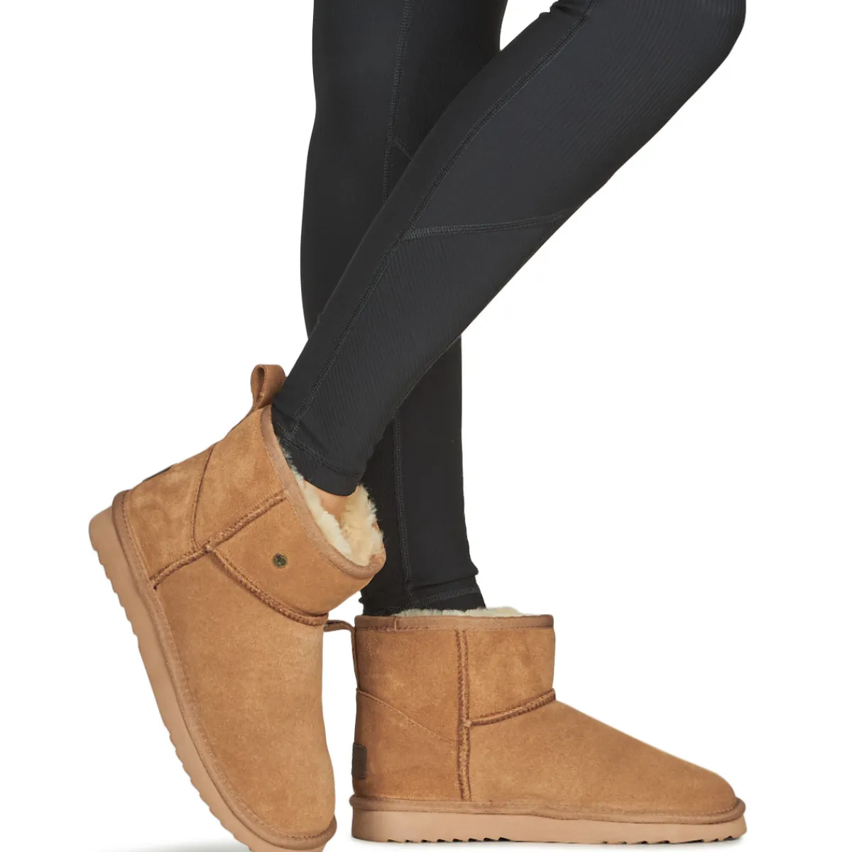 Online Warmbat - WALLABY Marron