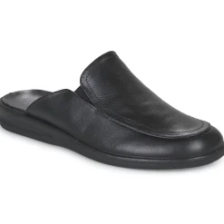 Westland - BELFORT 20 Noir