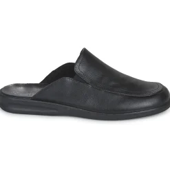 Westland - BELFORT 20 Noir