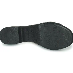 Wonders - D-8821-WILD