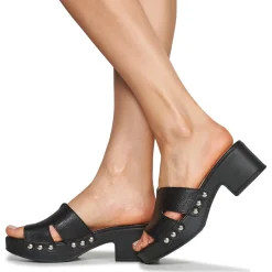 Wonders - D-8821-WILD