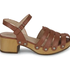 Wonders - D-9501-WILD Marron Online