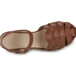 Wonders - D-9501-WILD Marron Online