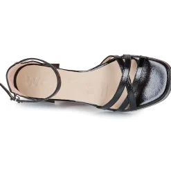 Wonders - G-6804-LACK-NEGRO