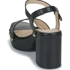 Hot Wonders - L-1016-WILD Noir