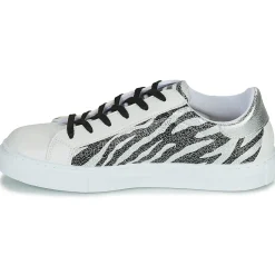 Yurban - ANISTAR Noir Hot