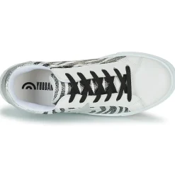 Yurban - ANISTAR Noir Hot